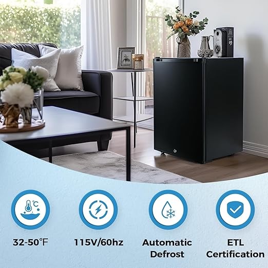 Mini Fridge for Bedroom, 1.07 cu.ft 110V Quiet Fridge with Lock, Small Silent Compact Refrigerator for Dorm RV Hotel Office, Noise Absorption, Black